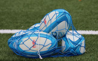 乒超联赛转会风云：拜仁慕尼黑盯上锋线强援，高芙或成交易筹码